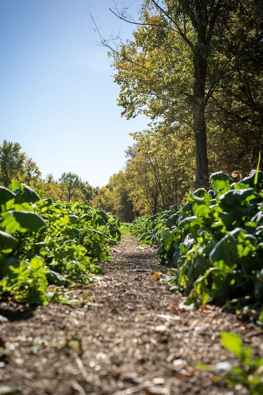 20241028_154903_A71BAC