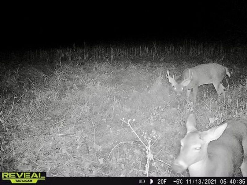 865519049946661-20-4-11132021054034-W1000585