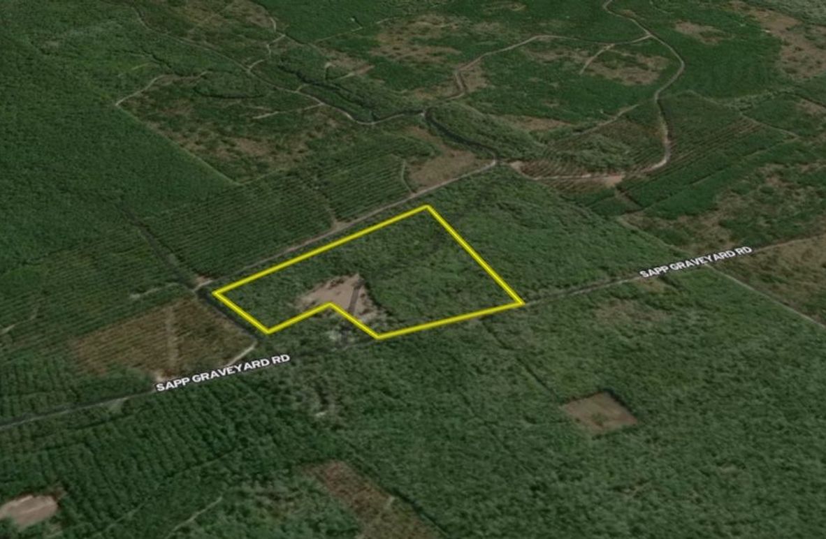 Screenshot 2025-06-11 134656