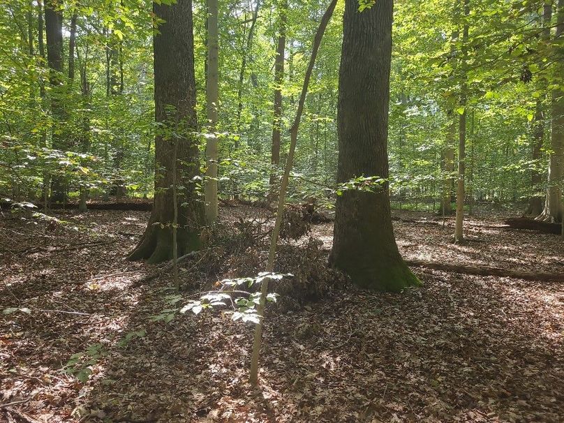 31.40ac_QAnnes_PIC_013