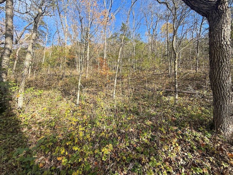 Houston 24.97 Updated-33