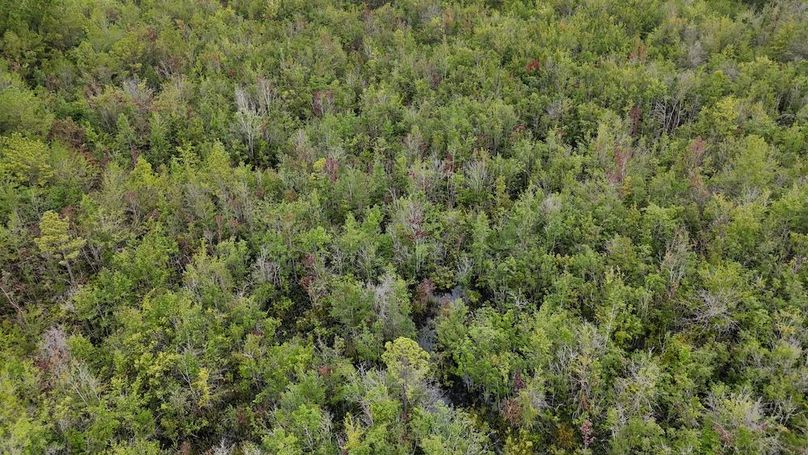 dji_fly_20250715_110518_0583_1752592294233_photo