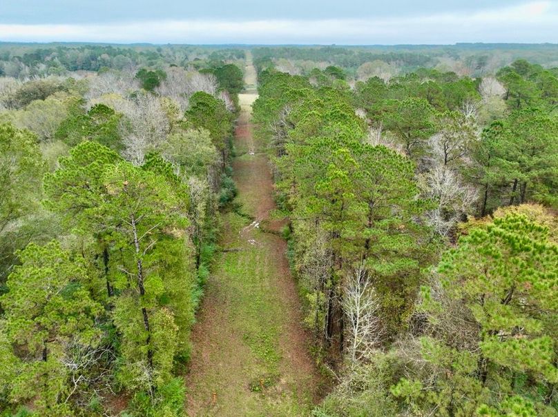 C83072CE-5BF0-44C5-B510-17348822A183_1_201_a-2