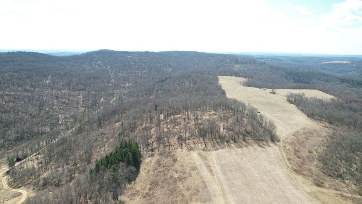 Secluded Buildable Lot Near State Game Lands | Whitetail Properties