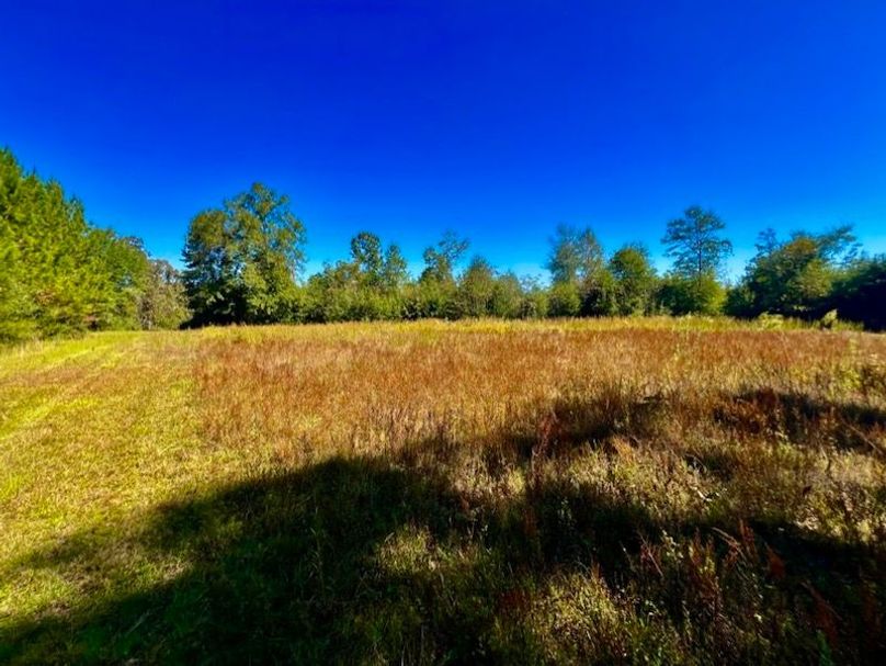 121896E4-5C4E-42A9-A31D-35488496B220_1_105_c