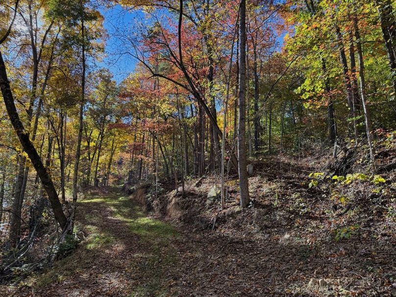 008 well maintained trail system throughout the property-2