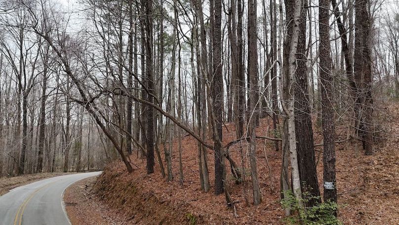 dji_fly_20260225_113936_0132_1772037648873_photo