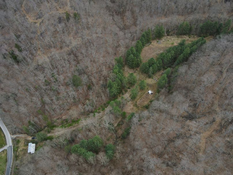021 top down view of the hollow