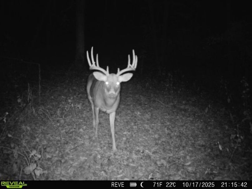 869965061395269-0-4-10172025211542-V-W1002693