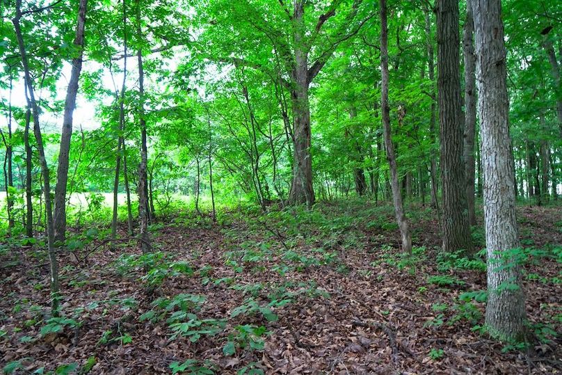 Bedford,121,Beegle-37