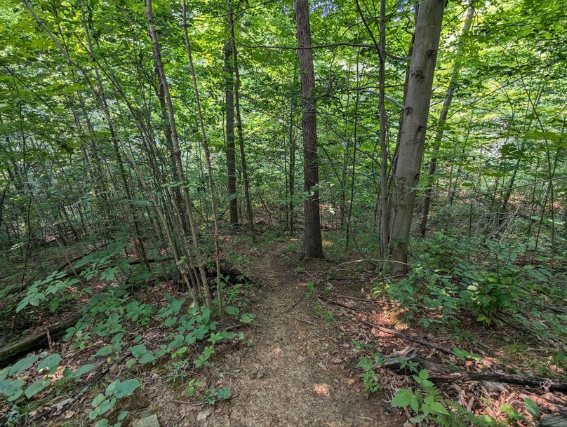 PXL_20230801_153401268