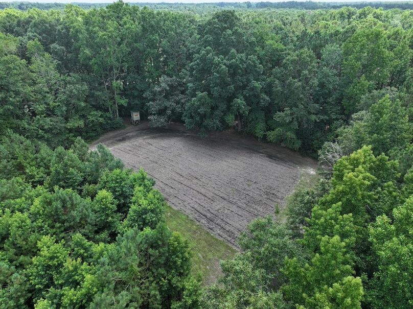 DJI_20250712130624_0138_D