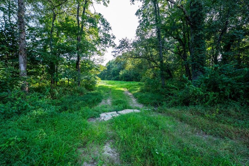 Copy of DSC06195 Large