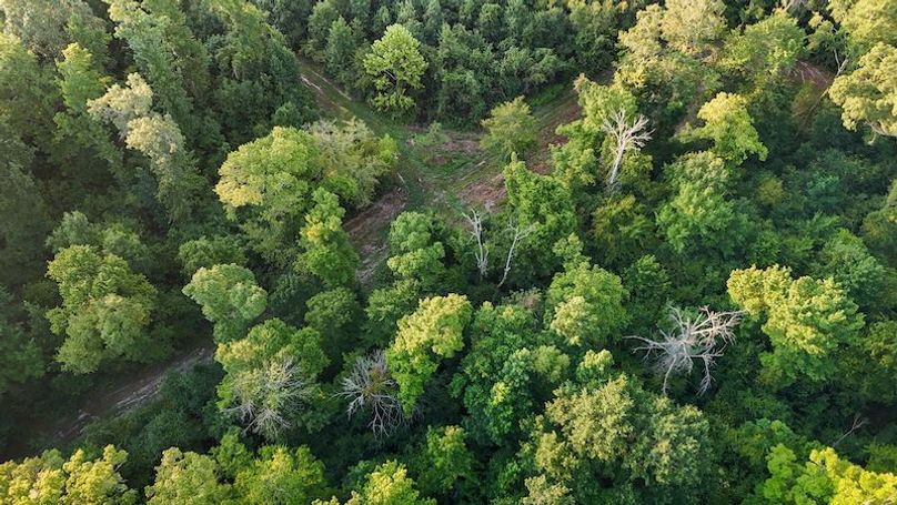 Ashley Co-40-Givens-56