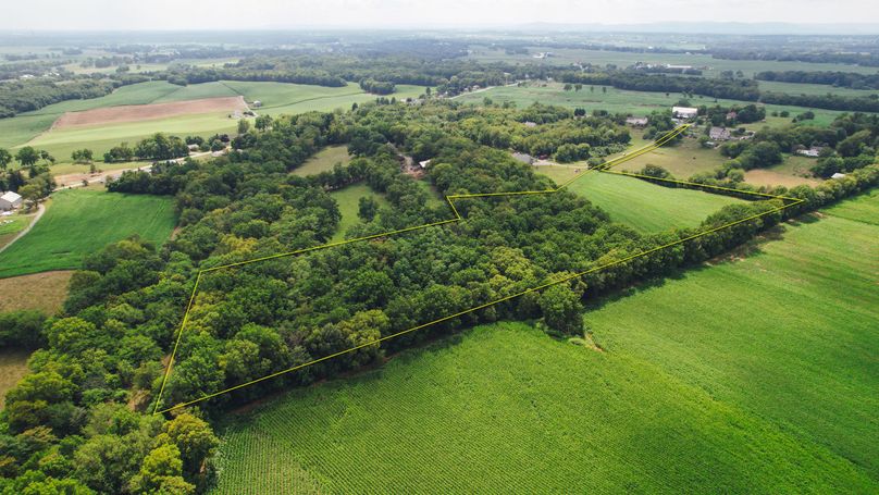 Franklin 11.44 Main 02