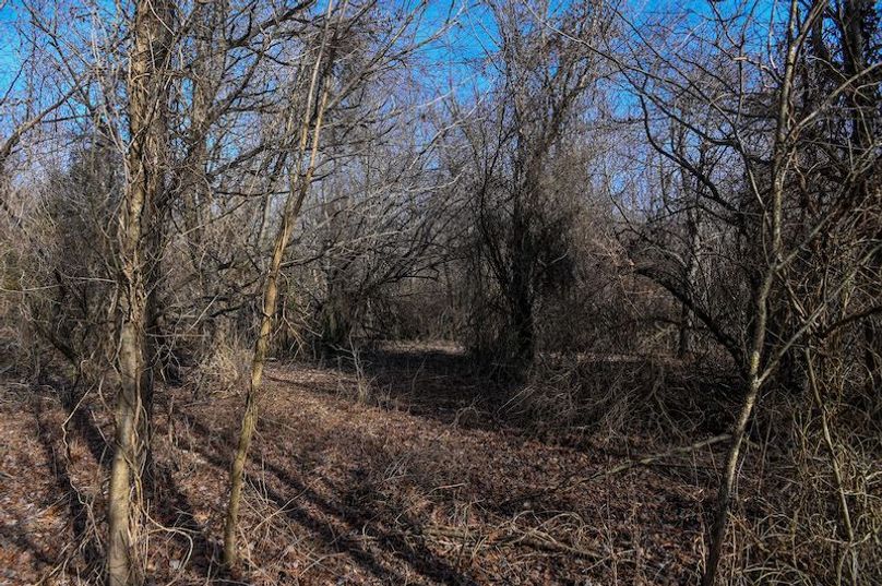 vandalia 450 (2)-1711