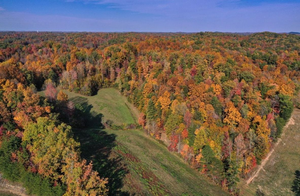 004 aerial drone shot of some remarkable fall colors in the north portion of the property-2