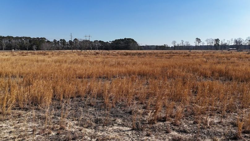 dji_fly_20260206_112508_0235_1770395797330_photo