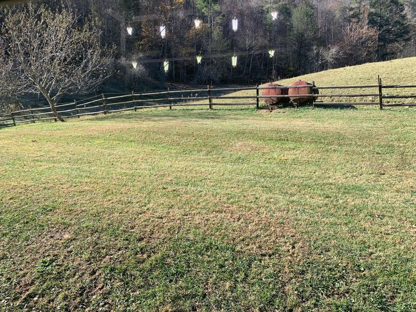 006_Electric Fenced Pasture