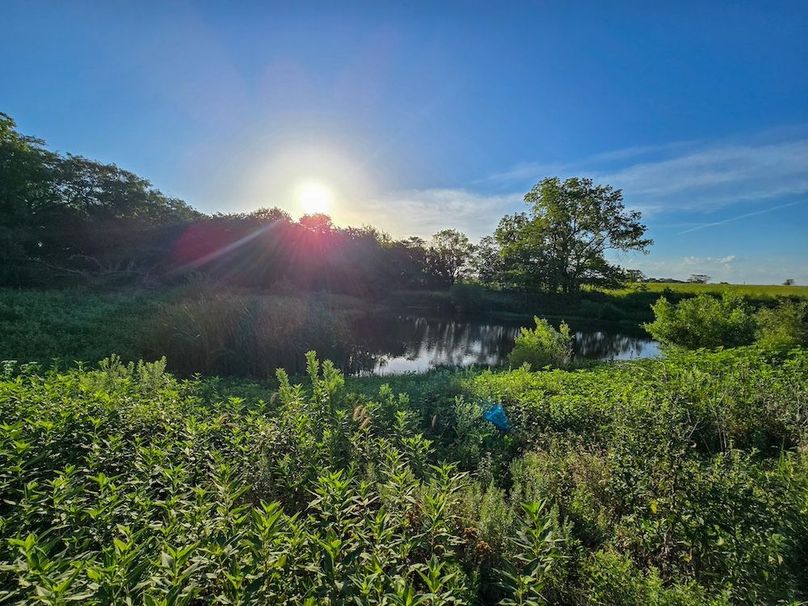 Copy of 20250729_074039