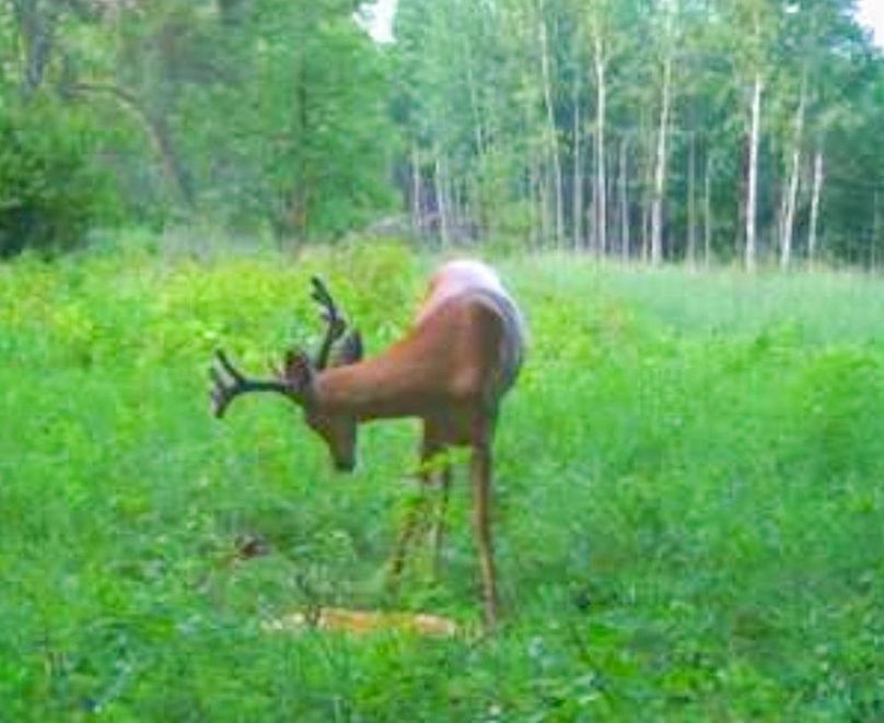 Screenshot 2021-07-26 at 8.36.50 PM