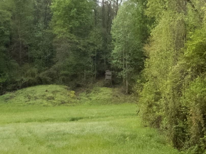 Claiborne Co-314-Fernandez-84