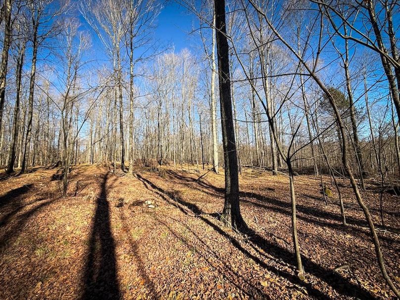 Chemung_31.75_Seymour_South_Photos_15