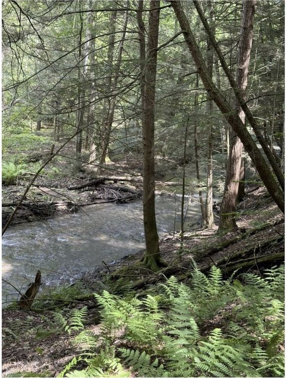 Screenshot 2026-02-25 213355