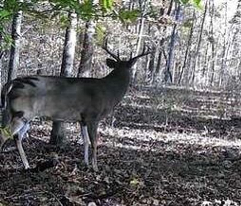 43BDD400-EC10-4427-BEF2-5957E2E70E70_4_5005_c