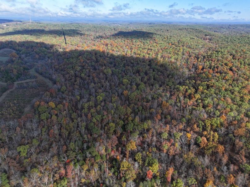 DJI_20251102094141_0811_D