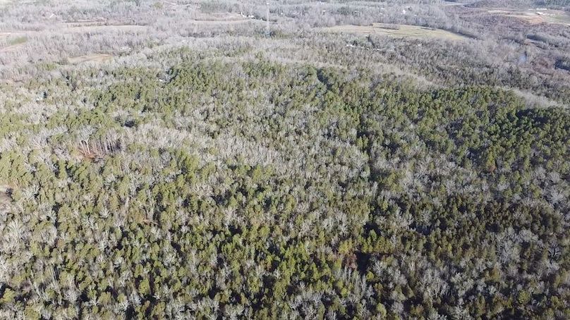 2024-02-06-09-05-40-266