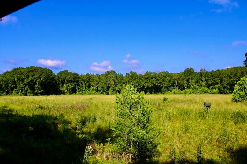 974AA151-9650-4D5B-AC9E-876580586423_1_201_a