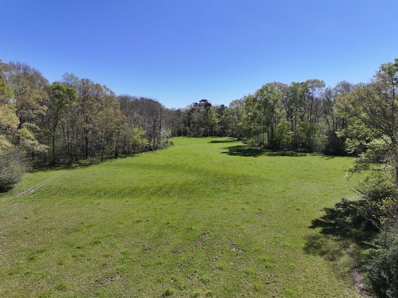 dji_fly_20260317_092114_0399_1773768878086_photo