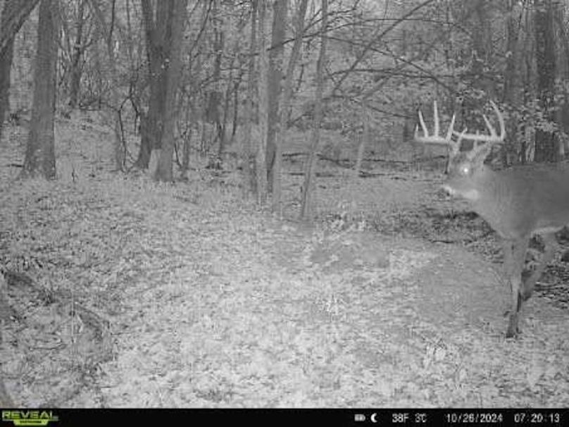 Sauk 174 Trailcam - 17