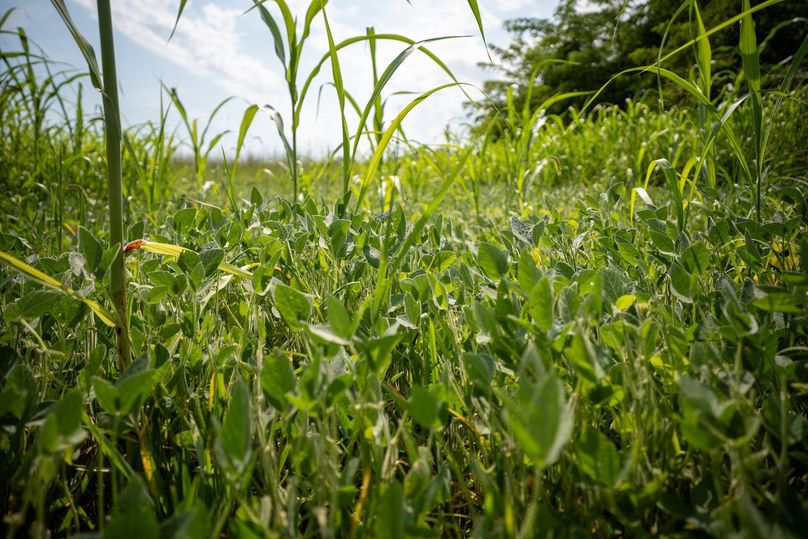 MCHENRY 32 RECENT UPDATES-25