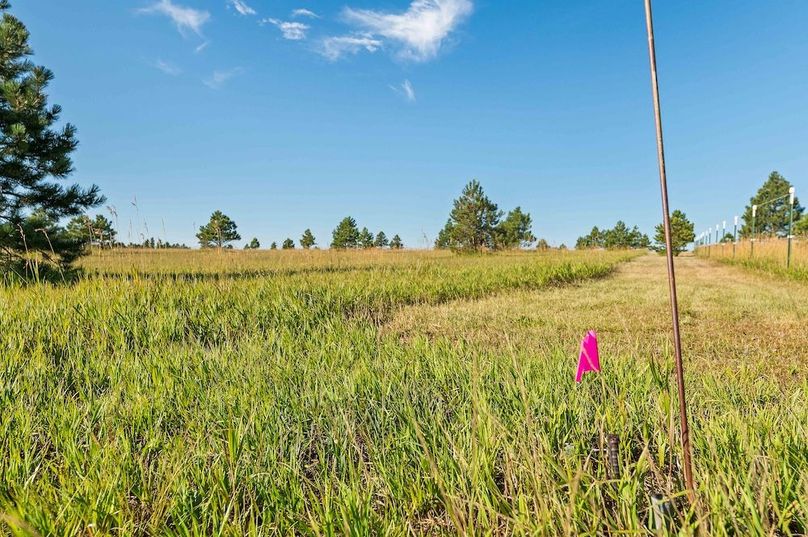 024 - Corners Marked