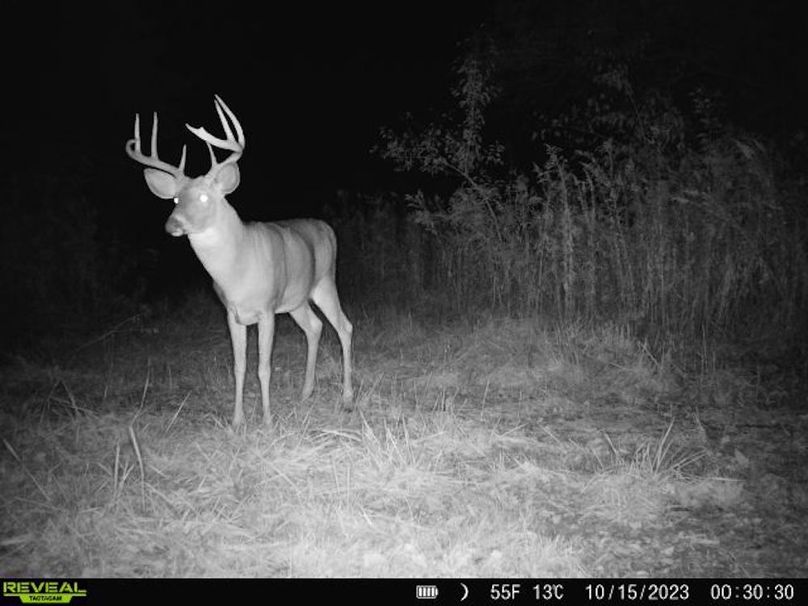 860322065128164-10-3-10152023003030-V-W1003683