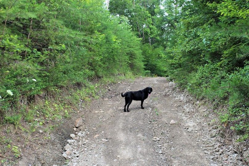 018 Aspen giving me the c_mon look