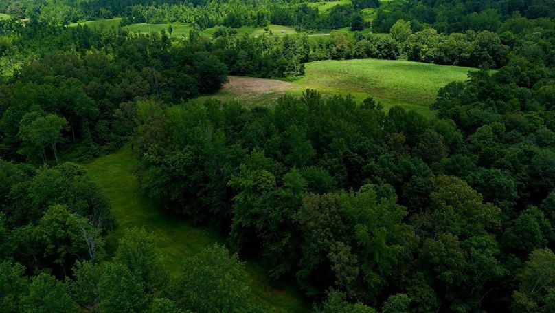 Sequence 10.00_09_06_19.Still025