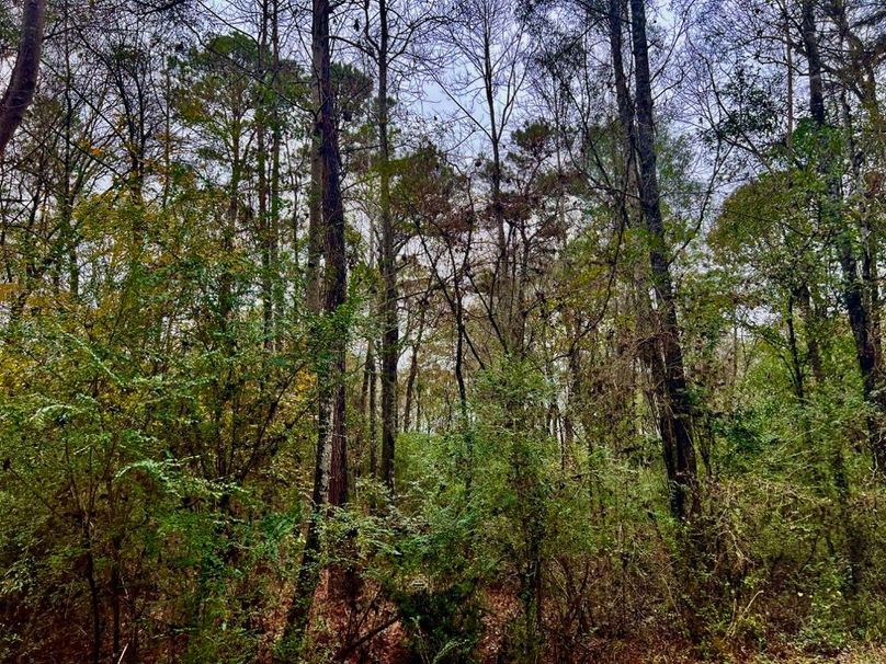 D3CF0CD5-F42A-4533-B146-393FB26063DD_1_201_a