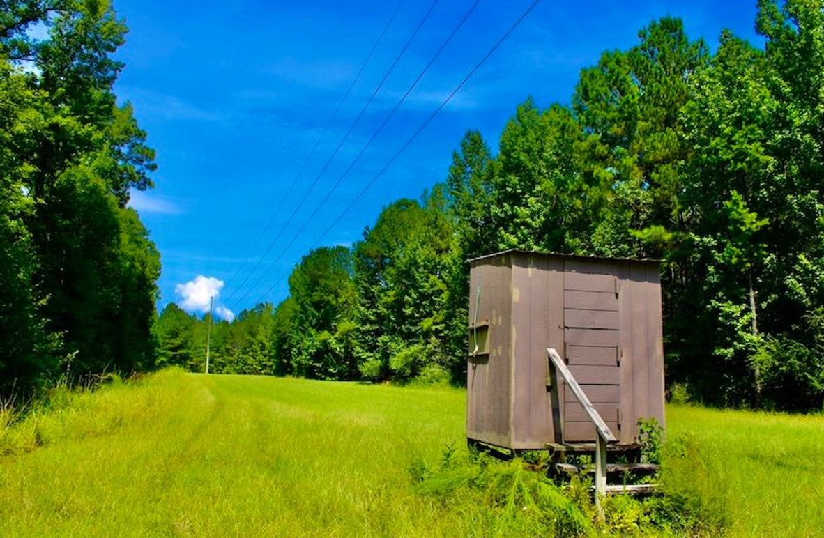 0CBDF026-81C8-4969-B052-65460136E98E_1_105_c