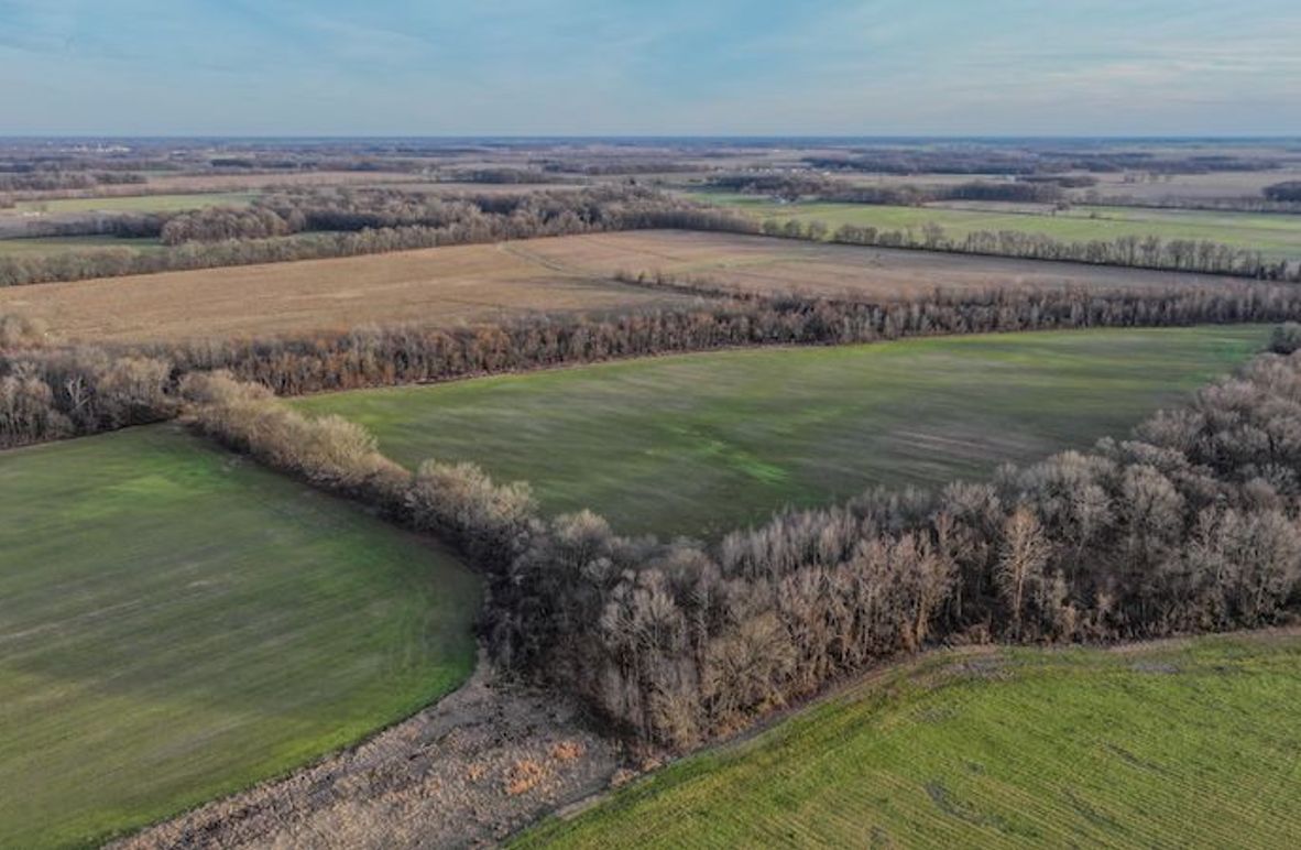 Phillips 8.5 Trahan -04