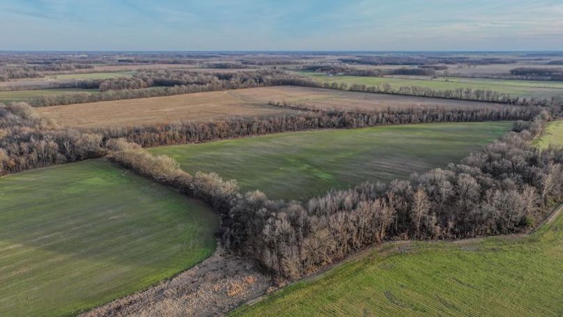 Phillips 8.5 Trahan -04