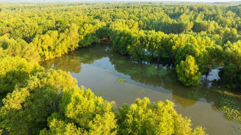 MadisonParLa1372-096