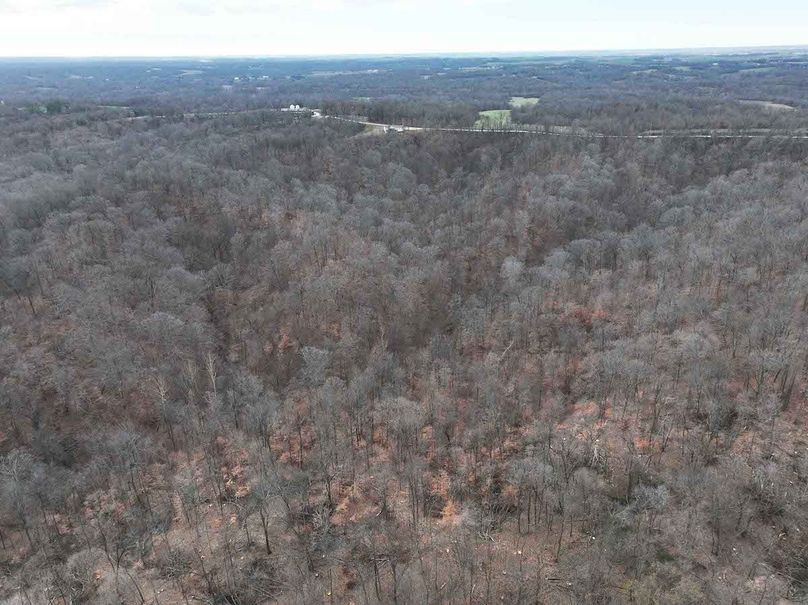 DJI_20251126164334_0301_D