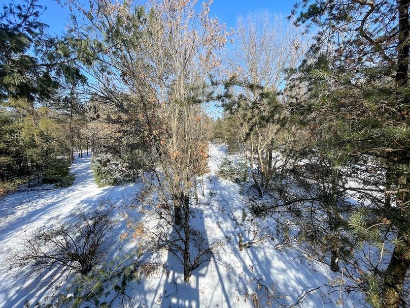 Adams 25, Nessler -58