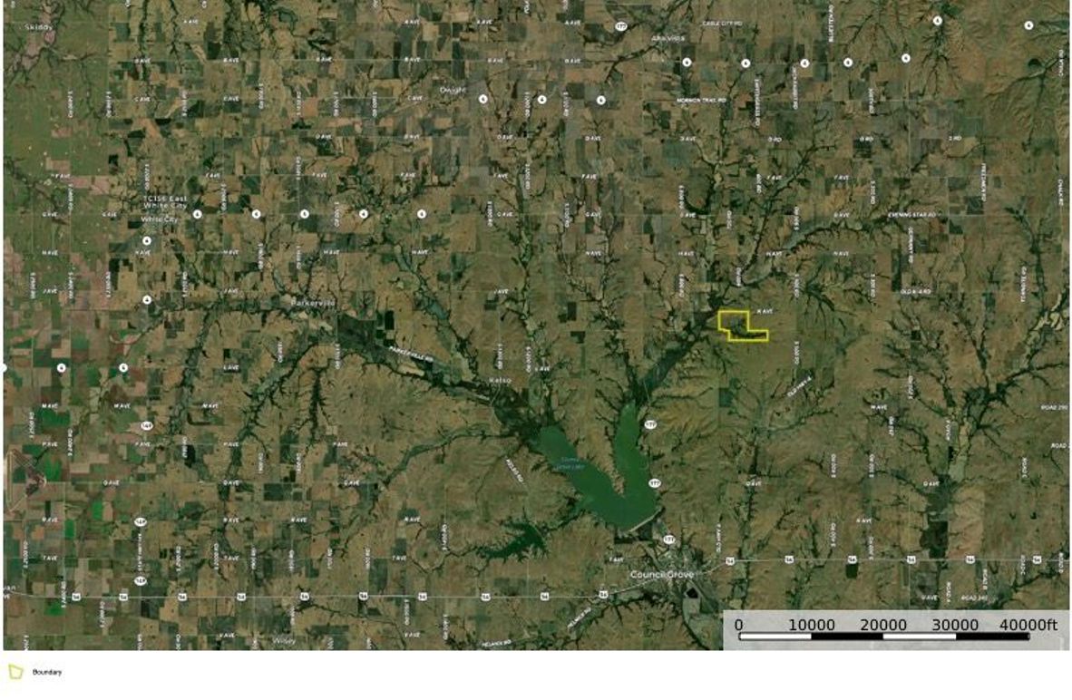 Morris 401 Surrouning copy