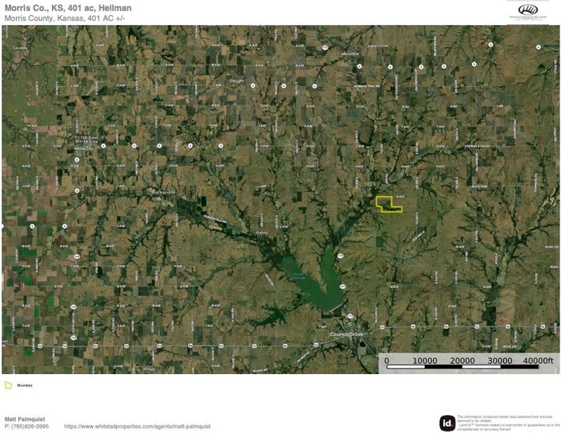 Morris 401 Surrouning copy