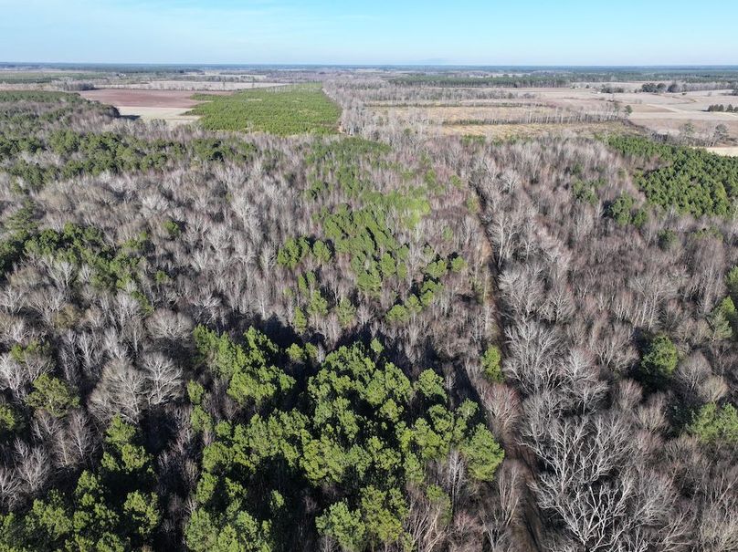 DJI_20260101162018_0304_D