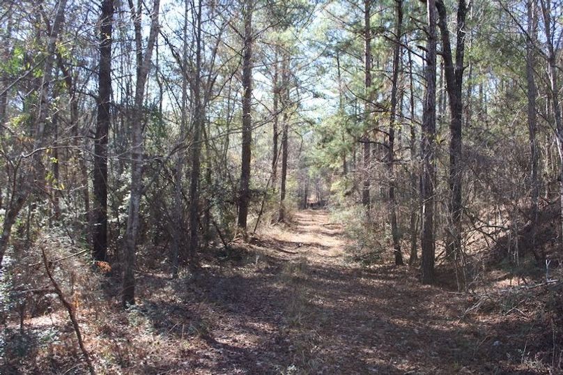 F6A338EA-6DC0-426D-A1B4-D650C00BE184_1_105_c